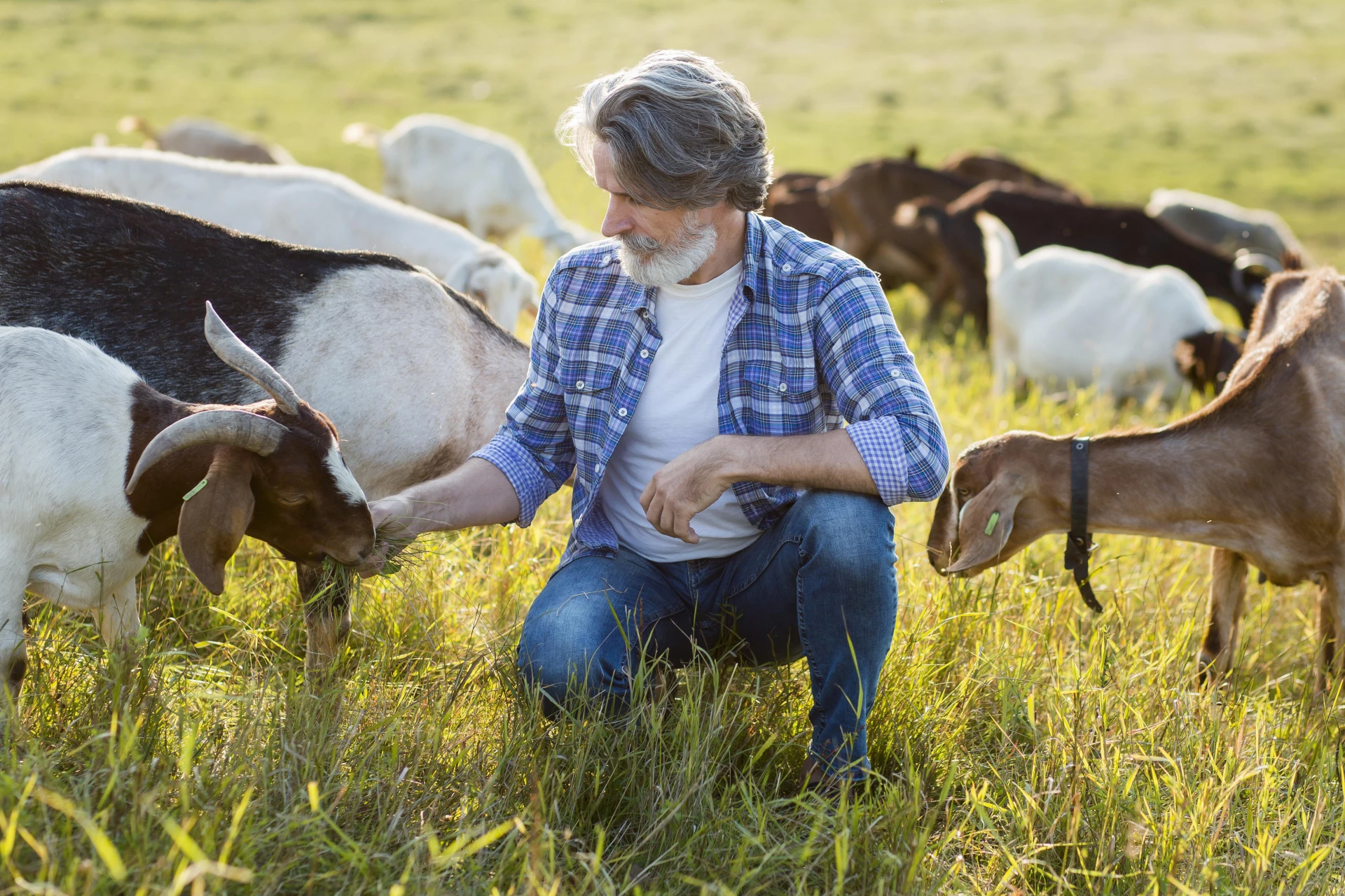 Family Dairy Food & Agro.